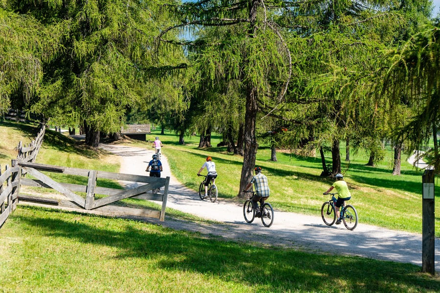 2nd Stop: (OPTIONAL) Bicycle ride or Ship cruise along the Wachau Danube valley